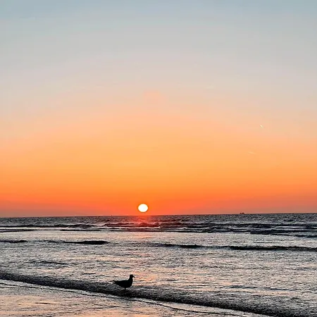 Lejlighed Plein Soleil Nieuwpoort