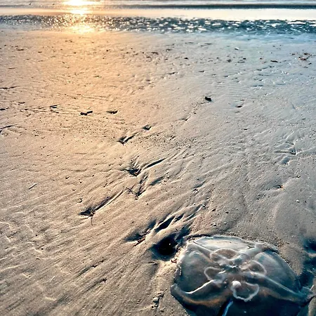 Plein Soleil Nieuwpoort